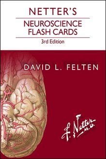 Netter s Neuroscience Flash Cards E-Book