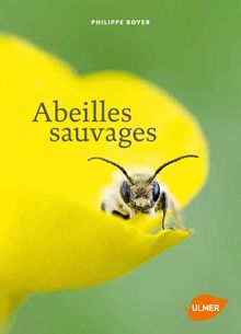 Extrait Abeilles Sauvages - Editions Ulmer