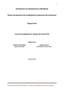 Rapport Laurent Grandguillaume : Statut Entrepreneur Individuel - 17/12/2013