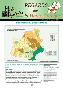 Panorama 2003 de la Haute-Garonne : Regards n°14