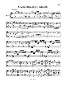 Partition complète, Kleines harmonisches Labyrinth, C minor, Bach, Johann Sebastian par Johann Sebastian Bach