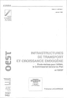 Infrastructure de transport et croissance endogène.