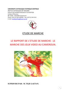 LE_MARCHE_DES_JEUX_VIDEO_AU_CAMEROUN