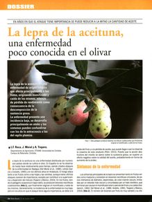 La lepra de la aceituna, una enfermedad poco conocida en el olivar