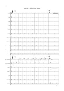 Partition 3rd mouvement, Concerto pour violoncelle & Doublebass