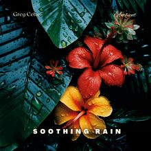 Soothing Rain: Tranquil Rainfall After Rainstorm