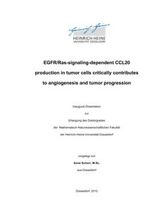 EGFR/Ras-signaling-dependent CCL20 production in tumor cells critically contributes to angiogenesis and tumor progression [Elektronische Ressource] / vorgelegt von Anne Schorr