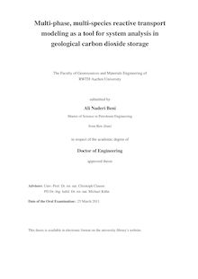 Multi-phase, multi-species reactive transport modeling as a tool for system analysis in geological carbon dioxide storage [Elektronische Ressource] / Ali Naderi Beni