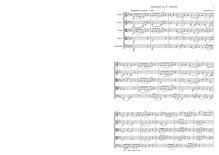 Partition complète, corde quintette, C minor, Hüttenbrenner, Anselm
