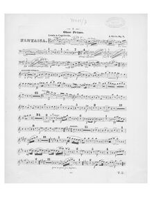 Partition hautbois 1, Fantaisie, Fantaisie pour violoncello avec orchestre ou piano