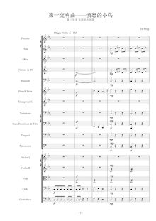 Partition , Allegro molto, Symphony No.1 en E minor Angry Birds