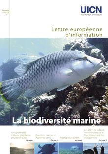 La biodiversité marine