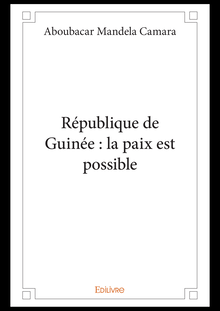 République de Guinée : la paix est possible