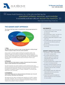 Azavar Audit Solutions Factsheet 2010