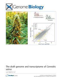 The draft genome and transcriptome of Cannabis sativa