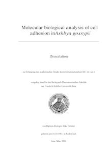 Molecular biological analysis of cell adhesion in Ashbya gossypii [Elektronische Ressource] / von Anke Grünler