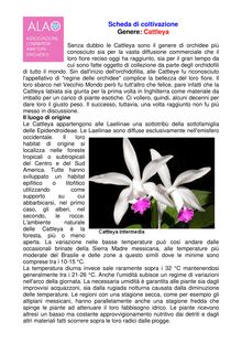 Cattleya: scheda di coltivazione