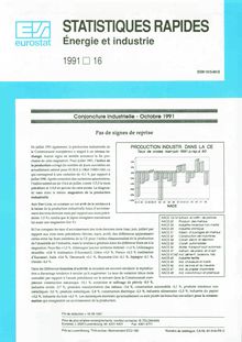STATISTIQUES RAPIDES Énergie et industrie. 1991 16