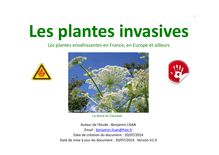 plantes-invasives