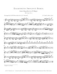 Partition , partie pour Alto enregistrement , Magnificat, D major