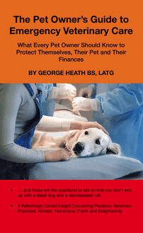 The Pet Owner’s Guide to Emergency Veterinary Care