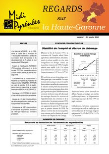 Dix ans de Revenu Minimun d Insertion en Haute-Garonne : Regards n°1