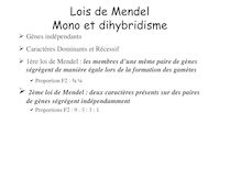 Lois de Mendel Mono et dihybridisme
