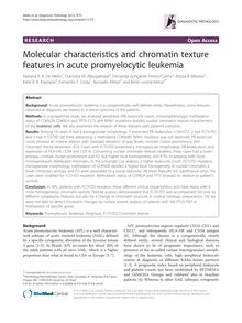 Molecular characteristics and chromatin texture features in acute promyelocytic leukemia