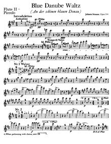Partition flûte 2, pour Blue Danube, Op. 314, On the Beautiful Blue Danube - WalzesAn der schönen blauen Donau