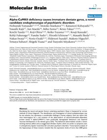 Alpha-CaMKII deficiency causes immature dentate gyrus, a novel candidate endophenotype of psychiatric disorders