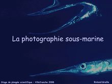 La photographie sous-marine