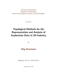 Topological methods for the representation and analysis of exploration data in oil industry [Elektronische Ressource] / by Oleg Artamonov