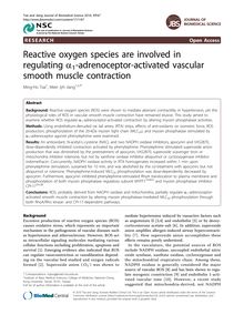 Reactive oxygen species are involved in regulating α1-adrenoceptor-activated vascular smooth muscle contraction