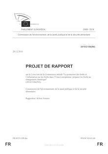 FR FR PROJET DE RAPPORT
