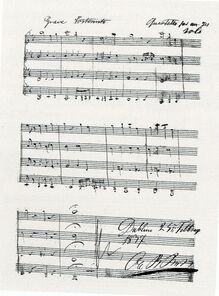 Partition complète, Quartetto per un [violon] solo, Grave sostenuto