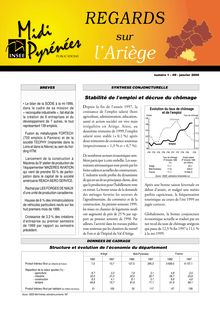 Dix ans de Revenu Minimun d Insertion en Ariège : Regards n°1