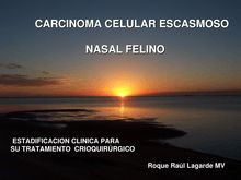 Carcinoma celular escasmosocarcinoma escasmosonasal felinonasal felino