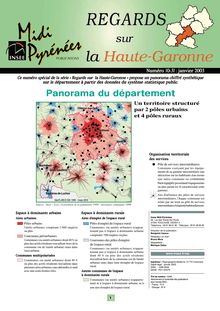 Panorama 2002 de la Haute-Garonne : Regards n°10