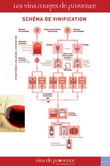 Vins rouges de Provence - Schéma de vinification