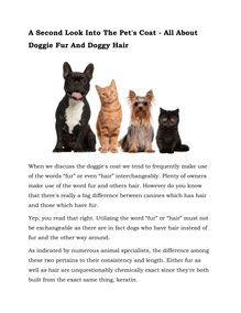 Info About The Pet s Coat - The Key Difference Between Dog Fur And Canine Hair