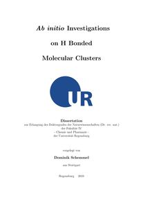 Ab-initio investigations on H-bonded molecular clusters [Elektronische Ressource] / vorgelegt von Dominik Schemmel