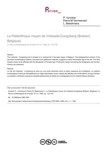 Le Paléolithique moyen de Vollezele-Congoberg (Brabant, Belgique) - article ; n°1 ; vol.1, pg 133-139
