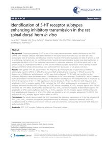 Identification of 5-HT receptor subtypes enhancing inhibitory transmission in the rat spinal dorsal horn in vitro