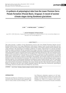 A synthesis of palynological data from the Lower Permian Cerro Pelado Formation (Paraná Basin, Uruguay): A record of warmer climate stages during Gonwana glaciations