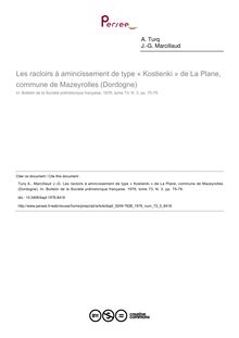 Les racloirs à amincissement de type « Kostienki » de La Plane, commune de Mazeyrolles (Dordogne) - article ; n°3 ; vol.73, pg 75-79