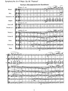 Partition , Lustiges Zusammensein der Landleute (Allegro), Symphony No.6