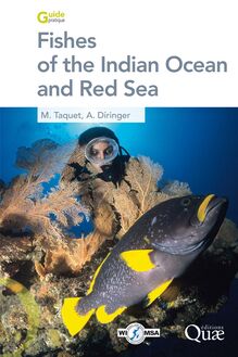 Fishes of the Indian Ocean and Red Sea