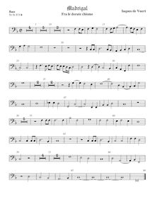 Partition viole de basse, madrigaux pour 5 voix, Wert, Giaches de par Giaches de Wert