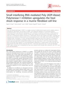 Small interfering RNA mediated Poly (ADP-ribose) Polymerase-1 inhibition upregulates the heat shock response in a murine fibroblast cell line