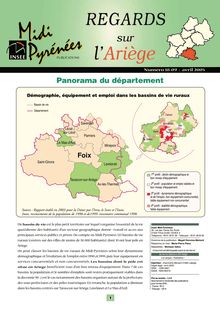 Panorama 2004 de l Ariège : Regards n° 18